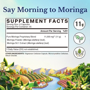 OEM Vente <span class=keywords><strong>en</strong></span> gros Capsules d'extrait de <span class=keywords><strong>Moringa</strong></span> 50:1 90 pilules pour un soutien nutritionnel antioxydant Suppléments à base de plantes pour la santé des adultes - Product Image 6