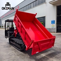 5 Tonnen Euro 5 Diesel Neuer Raupendumper mit Verstärktem Schwerlastchassis Linkslenkung Extrem Starke Steigfähigkeit