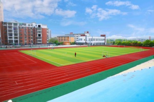 Pista de Atletismo Semiprefabricada INOLP, Resistente a los Rayos UV, Resistente a la Intemperie, con Absorción de Impactos y Ecológica - Product Image 3