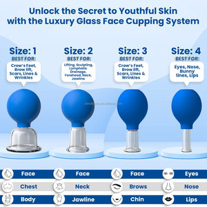 Ensemble de ventouses faciales <span class=keywords><strong>en</strong></span> <span class=keywords><strong>verre</strong></span> Ventouses de massage sous vide <span class=keywords><strong>en</strong></span> silicone Ensembles de thérapie lymphatique Ensemble de ventouses professionnelles Tasse <span class=keywords><strong>Hijama</strong></span> - Product Image 4
