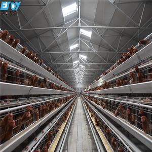 Vente en gros de cages à œufs de type <span class=keywords><strong>A</strong></span> en acier pour poules pondeuses automatique pour ferme avicole en Afrique du Sud - Product Image 4