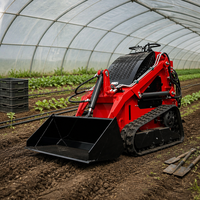 Mini Skid Steer Loader T360 dengan Track Karet, 941kg, Compact Track Loader, Bucket 0.1M3, EPA EURO5 untuk Pekerjaan Tanah