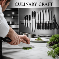 Juego de Cuchillos de Cocina Profesionales de Precisión, Gourmet, Culinarios, con Hoja Afilada de Acero Inoxidable, 13 Piezas