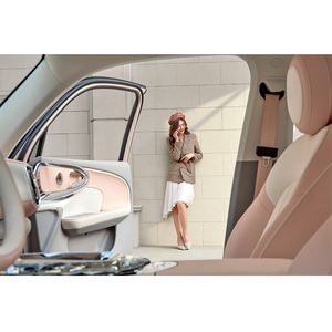 Ora Ballet Cat, véhicule électrique le moins cher, 100% électrique, mini <span class=keywords><strong>voiture</strong></span> chinoise, <span class=keywords><strong>voiture</strong></span> électrique, voitures électriques - Product Image 6