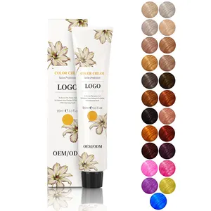 Diwei Hair Color Dye Professional Hair Color Cream Hair Dye Packaging Pcs Form Label Origin BLOND Type