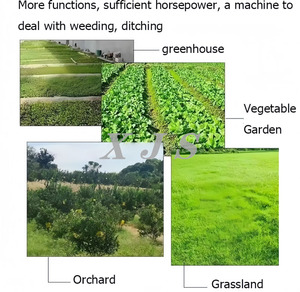 <span class=keywords><strong>Motozappa</strong></span> a Benzina 7HP 170F a Due <span class=keywords><strong>Ruote</strong></span> Motrici, Mini Coltivatore Rotativo, Macchina per Diserbo e Taglio Erba - Product Image 6