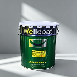 18L Wellcoat Epoxy Liquid Coating Factory Supply <b>for</b> Professional Decoration Projects - Product Image 1