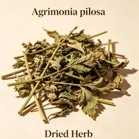 Herbe d'Agrimonia séchée, matière première pour tisanes, herbe astringente, encens, savon, masque, shampoing, production d'extraits botaniques