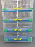 Cage à cailles pour poules pondeuses, cages en batterie pour cailles en gros, cage à cailles entièrement automatique avec abreuvoirs et tuyaux offerts