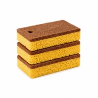 Éponge de nettoyage écologique multi-usages en fibre de coco compostable, fabrication OEM/ODM en gros