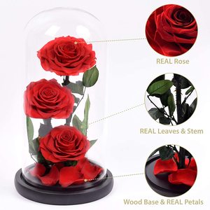 Vendita calda all'ingrosso eterno mai appassito fiore della durata di rose conservate reali in cupola di vetro per scatola regalo - Product Image 3