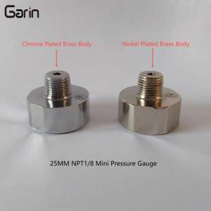 공장 직판 다이얼 사이즈 25mm 1/8 NPT 150Bar 니켈 도금 황동 쉘 미니 압력 게이지 - Product Image 6