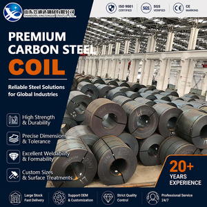 Q235 Black <b>Pickled</b> and Oiled 20mm 1000mm Leveling ASTM A1011 Carbon Steel Coil for Pipe Manufacturing - Product Image 1