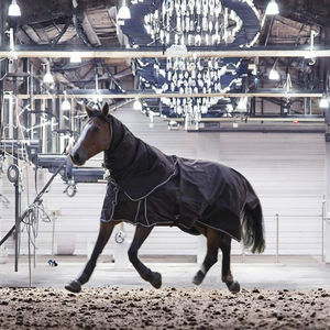 Fanfaree ชุดเดรสผ้าฝ้ายขนแกะกันน้ำน้ำหนักเบาสำหรับฤดูหนาว - Product Image 3