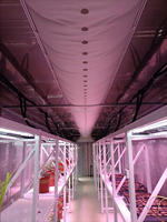 Conduit d'air rond en tissu antibactérien blanc, longueur et forme personnalisées, pour la ventilation des plantes