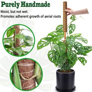 Poteaux de soutien flexibles en fibre de coco et fil d'aluminium pour plantes grimpantes – Fournitures de jardin en gros - Product Image 3
