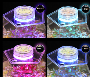 ตู้ปลาอะคริลิค LED หลายเหลี่ยม, โต๊ะทํางานขนาดเล็กโปร่งใส, ห้องนั่งเล่นตู้ปลาทองแนวนอนขนาดเล็ก - Product Image 6