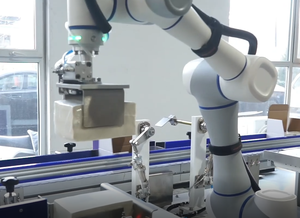 Système d'emballage Cobot 220V avec des fonctionnalités de sécurité améliorées - Product Image 3