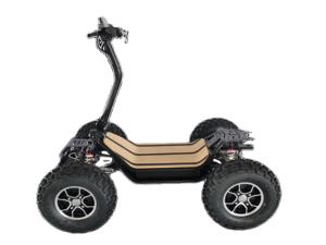 Scooter électrique Quad électrique à 4 roues, moto tout-terrain à quatre roues - Product Image 1