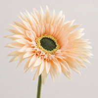 Fleur artificielle réaliste en polyester, motif marguerite araignée, tige de 10 cm (3,9 pouces), tête de 40 cm (15,7 pouces), 6 couleurs, pour mariage d'automne, vente en gros