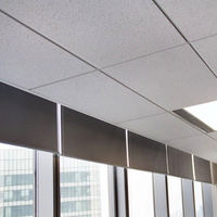 Plafonds suspendus décoratifs en fibres minérales noires, dalles de plafond 15 mm 60x60 pour la décoration