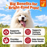 Friandises à mâcher pour chiens contre les taches lacrymales, antioxydantes, pour la santé oculaire, la vision et l'hydratation des yeux, saveur poulet