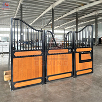 Système de boxes pour chevaux en acier galvanisé robuste avec conception personnalisée pour des projets complets d'équipements équestres