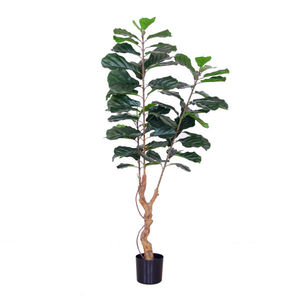 Hot bán thân cây Lụa Lá nhân tạo <span class=keywords><strong>fiddle</strong></span> lá vả cây nhân tạo ficus cây cho văn phòng trang trí - Product Image 3