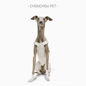 Overol con Tirantes Delgado de Primavera para Galgo Italiano, Ajustable, para Bellingham, Dachshund, Whippet, Wirehaired Hound, Estilo Adorable, Todas las Estaciones - Product Image 3