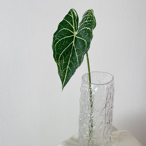 Bán Buôn Monstera Lá Nhân Tạo Màu Xanh Lá Cây Cọ Lụa Cho Đám Cưới Tường & Nhà Hoa Nhân Tạo Alocasia Lá - Product Image 4