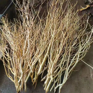 <span class=keywords><strong>Thailand</strong></span> Tak Xi Wortels Drift Hout <span class=keywords><strong>Aquarium</strong></span> Gewei Tak Hout Voor Decoratieve Voor Fish Tank - Product Image 3