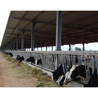 Élevage de chèvre, structure en acier, hangar à vache, bâtiment de ferme, hangar à chèvre, maison à vache