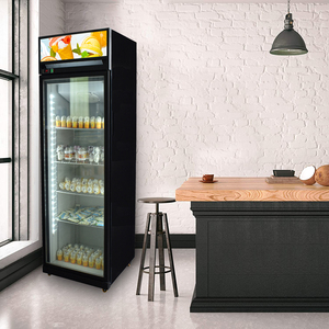 Réfrigérateur commercial vertical à porte vitrée simple, idéal pour la présentation de boissons gazeuses et de sodas - Product Image 3