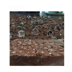 Performance durevole idrorepellente <span class=keywords><strong>impermeabilizzante</strong></span> <span class=keywords><strong>trasparente</strong></span> invisibile agente <span class=keywords><strong>impermeabilizzante</strong></span> sigillante agente <span class=keywords><strong>impermeabilizzante</strong></span> - Product Image 2