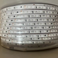 En vente, bande lumineuse Led 220V 100 mètres 10cm coupe Smd2835 5730smd Dimmable IP67 bande lumineuse haute puissance
