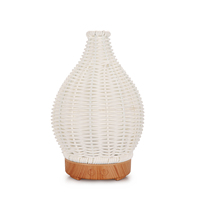 Diffuseur en osier parfumé Portable brume ultrasonique couleur veilleuse diffuseur d'huile essentielle pour salon chambre