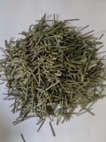 Petit paquet couleur verte nouvelle aiguille de pin thé santé feuilles de pin coupe tisane à vendre