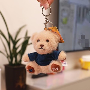 HECION Süper Yumuşak Ayı Peluş Oyuncak, Özel Logo Baskılı Tişörtlü, Çocuklar İçin Doğum Günü veya Düğün Peluş Anahtarlık Oyuncak - Product Image 5