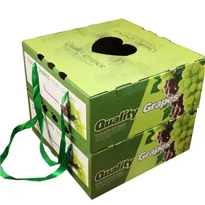 Frutas y verduras frescas de papel personalizado de embalaje de cartón duradero 7-ply cajas de cartón corrugado de papel de exportación plegable cajas de fruta