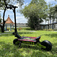 Nuevo Diseño de Scooter Todoterreno de Doble Motor, Batería de Litio de 48V, Plegable, para Adultos y Personas de Peso Pesado