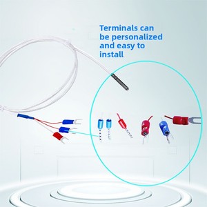 Aanpasbare 3-draads Klasse Een Roestvrijstalen Thermokoppel Temperatuursensor Pt100 Sonde Oem Ondersteunde Luchtcompressor Reserveonderdelen - Product Image 5