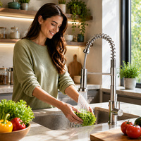 Robinet de cuisine moderne pour hôtel, à poser sur comptoir, en acier inoxydable brossé, monotrou, avec douchette extractible, poignée unique, garantie 3 ans