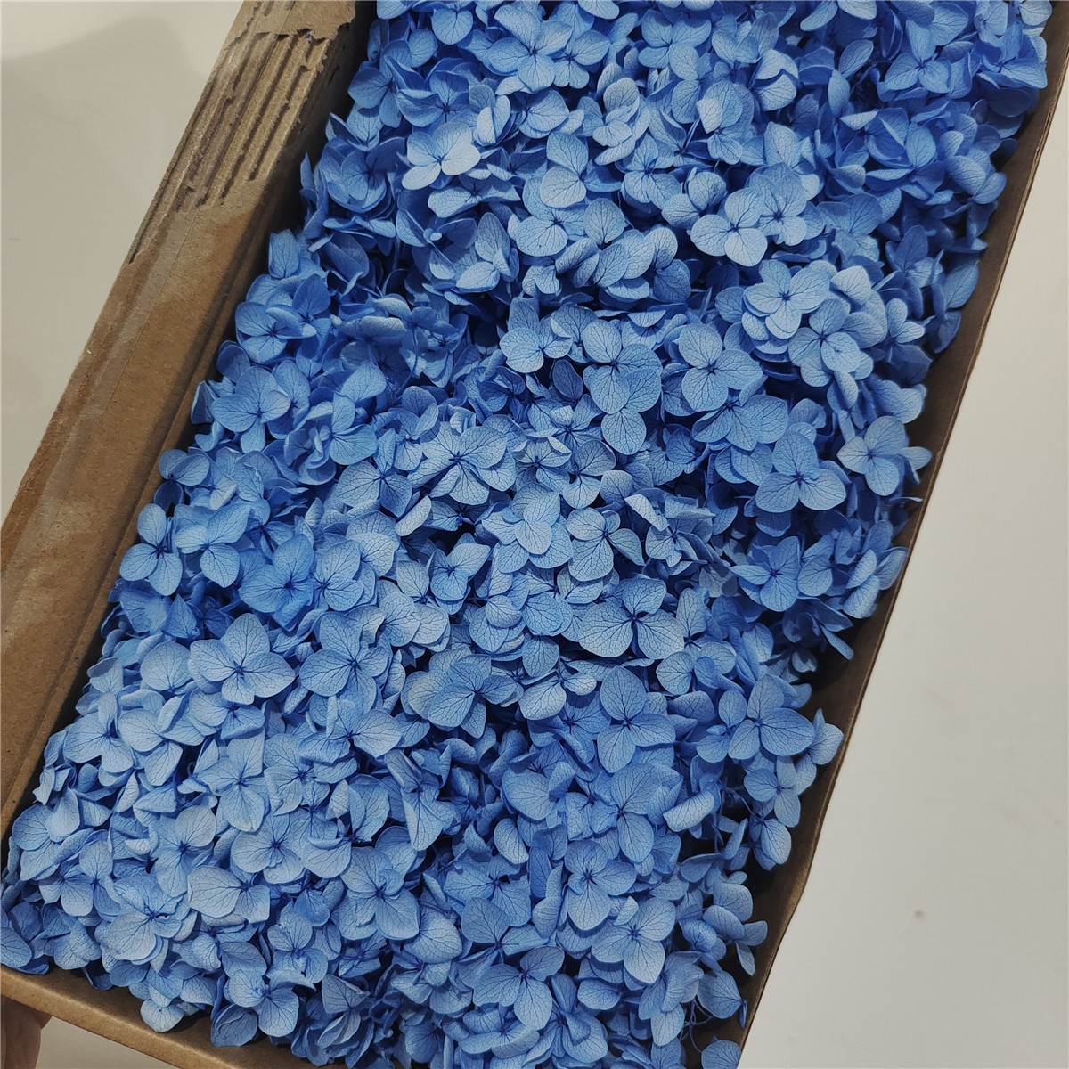 Caja azul cielo anna-90-100g