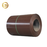 Bobina de Acero Ppgi con Recubrimiento de Color Galvanizado RAL 9005 9016 2004 8017 5002 7039 para Material de Construcción