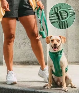 Anpassbares modisches PVC-Hunde halsband und Geschirr leine Vinyl beschichtetes Gurtband Knopf verschluss Wasser Polyester Material - Product Image 3