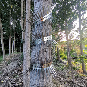 เดือยไล่<span class=keywords><strong>นก</strong></span>แบบหนาพิเศษสำหรับงานหนัก ป้อง<span class=keywords><strong>กัน</strong></span>การปีนป่าย ขนาด 3/5 ซม. ให้เลือกได้ สำหรับป้อง<span class=keywords><strong>กัน</strong></span>โรงงาน ผลิตจากโรงงานโดยตรง - Product Image 6