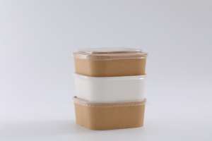 1400 ML papier à emporter carré boîte à lunch jetable en papier de qualité alimentaire boîte d'emballage Restaurant carré à emporter papier bol avec couvercle - Product Image 4