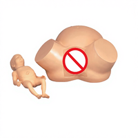 Modelo de Entrenamiento Anatómico Quirúrgico Científico para Obstetricia y Parto, Simulador de Trabajo de Parto para Enseñanza de Ciencias Médicas, Haryana, India
