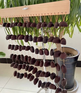 <span class=keywords><strong>J</strong></span> u <span class=keywords><strong>J</strong></span> u Seed Shell Chimes pour la guérison sonore, les bains de gong ou les séances de percussion acoustique. - Product Image 3