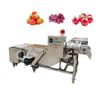 Machine de lavage et de tri des fruits, machine de lavage du manioc, machine de lavage des fruits à bulles